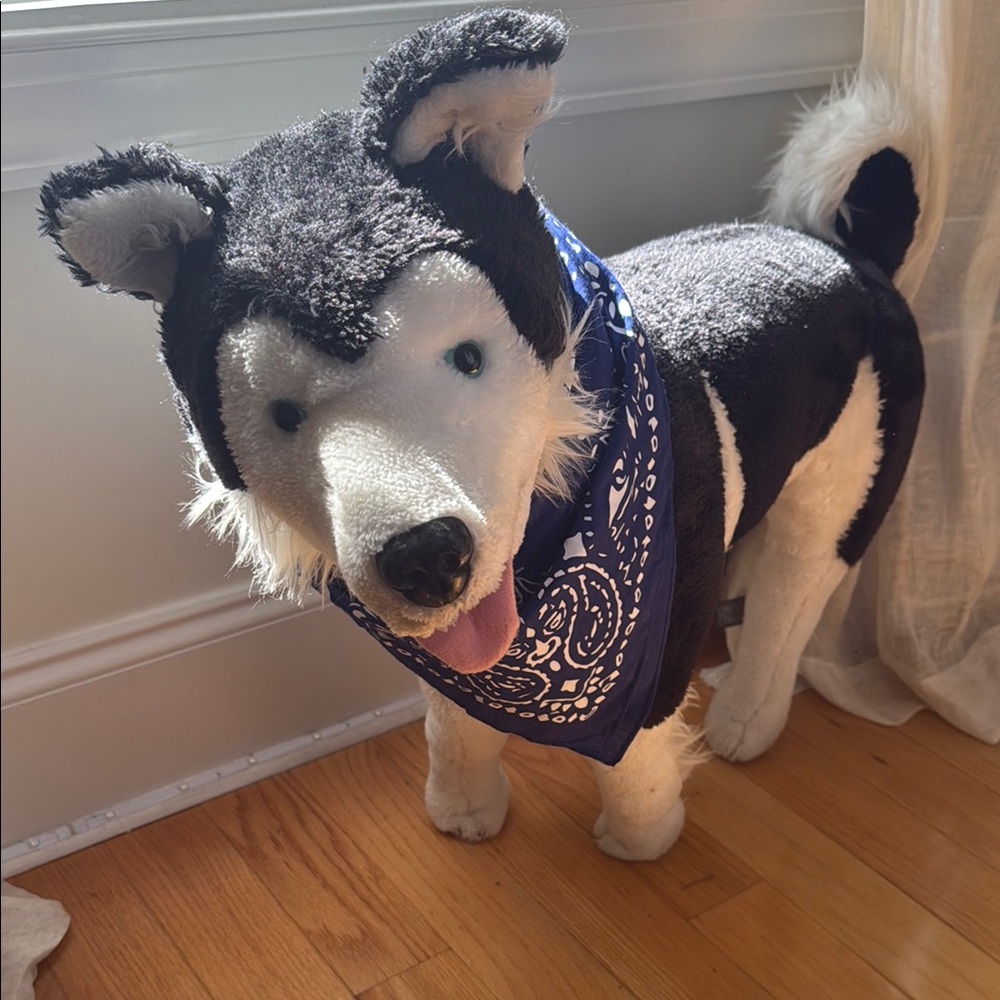 Life size Husky Dog Toy with Blue Bandana